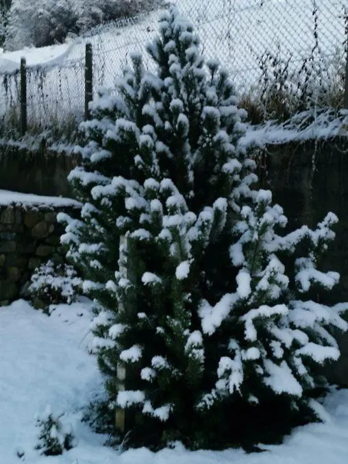 Kaban' Des Neiges Apartment Saint-Gervais-les-Bains